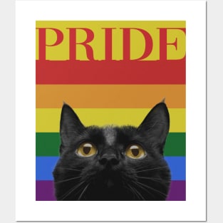 Vintage Black Cat Gay Pride Posters and Art